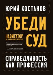 Скачать Убеди суд! Навигатор по уголовному процессу бесплатно
