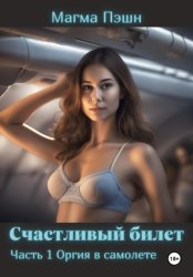 Скачать Счастливый билет. Часть 1. Оргия в самолёте бесплатно