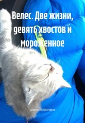 Скачать Велес. Две жизни, девять хвостов и мороженное бесплатно