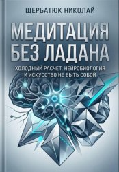 Скачать Медитация без ладана: Холодный расчет, нейробиология и искусство не быть собой бесплатно