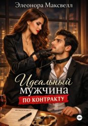 Скачать Идеальный мужчина по контракту бесплатно