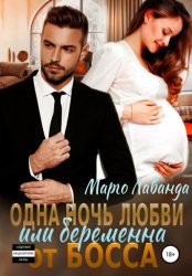Скачать Одна ночь любви, или Беременна от босса бесплатно