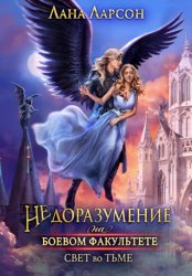 Скачать Недоразумение на боевом факультете. Свет во тьме. Книга 2 бесплатно