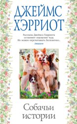 Скачать Собачьи истории бесплатно