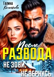Скачать После развода. Не зови, не вернусь бесплатно