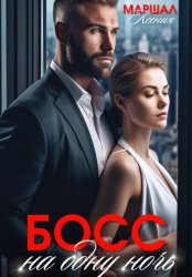 Скачать Босс на одну ночь бесплатно