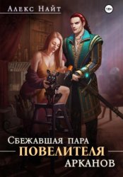 Скачать Сбежавшая пара Повелителя арканов бесплатно