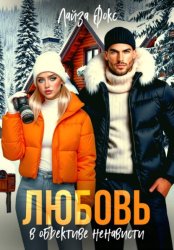 Скачать Любовь в объективе ненависти бесплатно