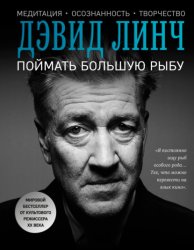 Скачать Поймать большую рыбу. Медитация, осознанность, творчество бесплатно
