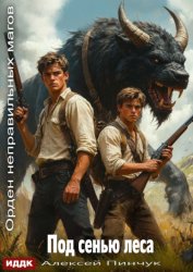 Скачать Орден неправильных магов. Книга 5. Под сенью леса бесплатно