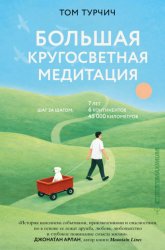Скачать Большая кругосветная медитация. Шаг за шагом: 7 лет, 6 континентов, 45 000 километров бесплатно