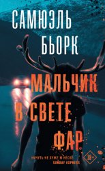 Скачать Мальчик в свете фар бесплатно
