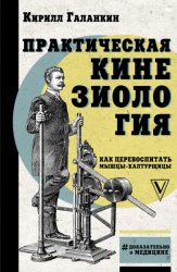 Скачать Практическая кинезиология. Как перевоспитать мышцы-халтурщицы бесплатно