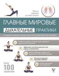 Скачать Главные мировые дыхательные практики. От дыхательной гимнастики Стрельниковой до Бутейко бесплатно