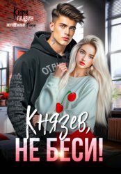 Скачать Князев, не беси! бесплатно