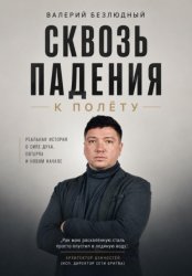 Скачать Сквозь падения к полету бесплатно