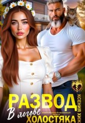 Скачать Развод. В логове холостяка бесплатно