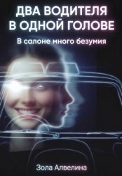 Скачать Два водителя в одной голове. В салоне много безумия бесплатно