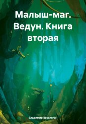 Скачать Малыш-маг. Ведун. Книга вторая бесплатно