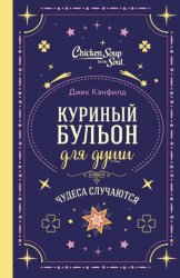 Скачать Куриный бульон для души. Чудеса случаются бесплатно