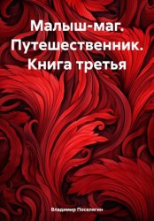 Скачать Малыш-маг. Путешественник. Книга третья бесплатно