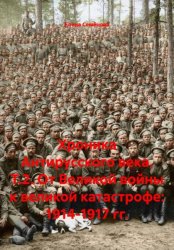 Скачать Хроника Антирусского века. Т.2. От Великой войны к великой катастрофе: 1914-1917 гг. бесплатно