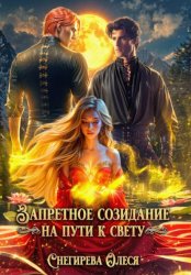 Скачать Запретное созидание. На пути к свету бесплатно