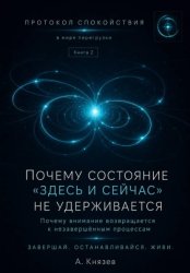 Скачать Протокол спокойствия в мире перегрузки бесплатно