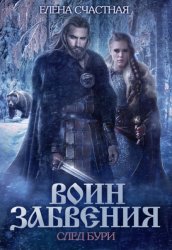 Скачать Воин забвения. След бури бесплатно