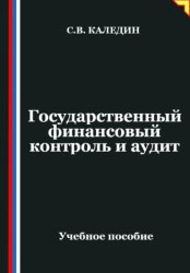 Скачать Государственный финансовый контроль и аудит бесплатно