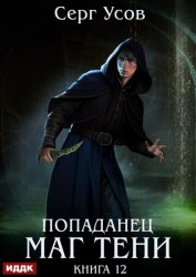 Скачать Попаданец. Маг Тени. Книга 12 бесплатно