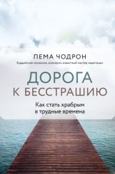 Скачать Дорога к бесстрашию. Как стать храбрым в трудные времена бесплатно