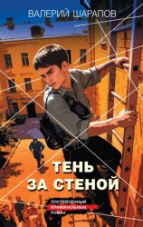 Скачать Тень за стеной бесплатно