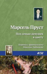 Скачать Под сенью девушек в цвету бесплатно