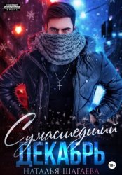 Скачать Сумасшедший декабрь бесплатно