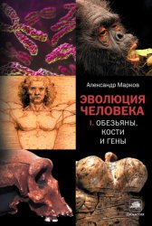 Скачать Обезьяны, кости и гены бесплатно