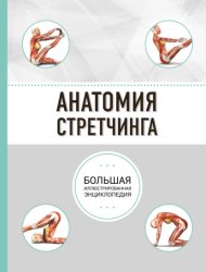 Скачать Анатомия стретчинга бесплатно