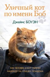 Скачать Уличный кот по имени Боб. Как человек и кот обрели надежду на улицах Лондона бесплатно