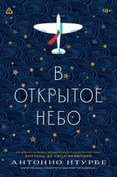 Скачать В открытое небо (основано на жизни французского писателя и летчика Антуана де Сент-Экзюпери) бесплатно