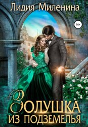 Скачать Золушка из подземелья бесплатно