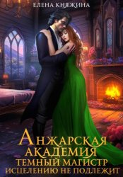 Скачать Анжарская академия. Темный магистр исцелению не подлежит бесплатно