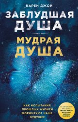 Скачать Заблудшая душа – мудрая душа. Как испытания прошлых жизней формируют наше будущее бесплатно
