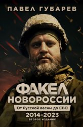 Скачать Факел Новороссии. От Русской Весны до СВО. 2014–2023 бесплатно