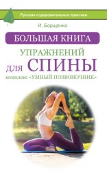 Скачать Большая книга упражнений для спины: комплекс «Умный позвоночник» бесплатно