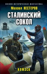 Скачать Сталинский сокол. Комэск бесплатно