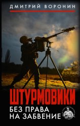 Скачать Штурмовики. Без права на забвение бесплатно