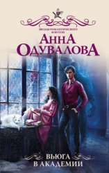 Скачать Вьюга в академии бесплатно