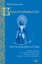 Скачать Бодхичарьяватара. Путь бодхисаттвы бесплатно