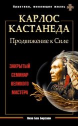Скачать Карлос Кастанеда. Продвижение к Силе. Закрытый семинар великого мастера бесплатно