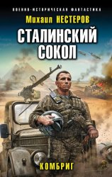 Скачать Сталинский сокол. Комбриг бесплатно